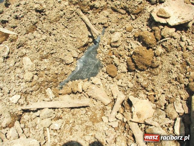 Zdjęcie w galerii na portalu naszraciborz.pl: W Brzeziu odkryto dół pełen kości wiadomości z regionu