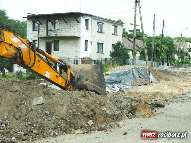 Zdjęcie w galerii na portalu naszraciborz.pl: W Brzeziu odkryto dół pełen kości wiadomości z regionu