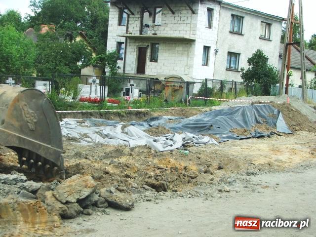 Zdjęcie w galerii na portalu naszraciborz.pl: W Brzeziu odkryto dół pełen kości wiadomości z regionu