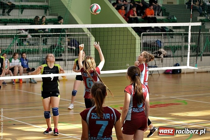 Zdjęcie w galerii na portalu naszraciborz.pl: Rozgrywki gimnazjalistów w siatkówce - sprawdź, kto był najlepszy  wiadomości z regionu