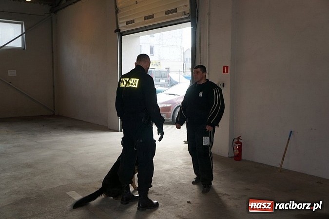 Zdjęcie w galerii na portalu naszraciborz.pl: Przewodnicy psów policyjnych szkolą się w Raciborzu  wiadomości z regionu