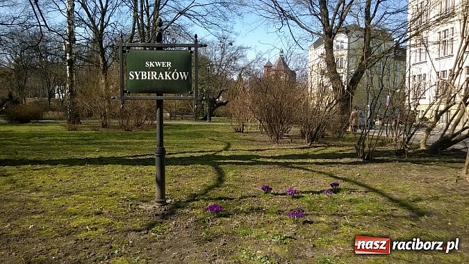 Zdjęcie w galerii na portalu naszraciborz.pl: Zima pakuje walizki. Jutro zaćmienie Słońca i pierwszy dzień astronomicznej wiosny wiadomości z regionu