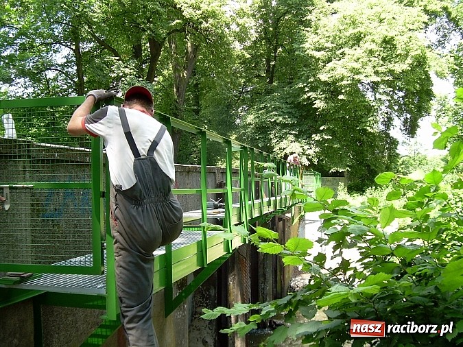 Zdjęcie w galerii na portalu naszraciborz.pl: Urzędnicy patrzyli jak rolnik na żyrafę. A jednak wkrótce ruszy - pierwsza elektrownia wodna w powiecie raciborskim wiadomości z regionu
