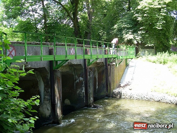 Zdjęcie w galerii na portalu naszraciborz.pl: Urzędnicy patrzyli jak rolnik na żyrafę. A jednak wkrótce ruszy - pierwsza elektrownia wodna w powiecie raciborskim wiadomości z regionu