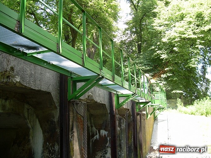 Zdjęcie w galerii na portalu naszraciborz.pl: Urzędnicy patrzyli jak rolnik na żyrafę. A jednak wkrótce ruszy - pierwsza elektrownia wodna w powiecie raciborskim wiadomości z regionu