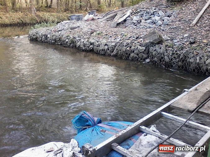 Zdjęcie w galerii na portalu naszraciborz.pl: Urzędnicy patrzyli jak rolnik na żyrafę. A jednak wkrótce ruszy - pierwsza elektrownia wodna w powiecie raciborskim wiadomości z regionu
