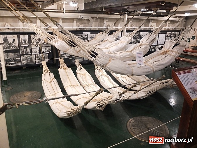 Zdjęcie w galerii na portalu naszraciborz.pl: Raciborzanie w czwartej drużynie świata! wiadomości z regionu