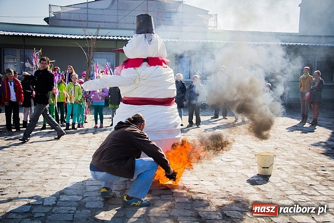 Zdjęcie w galerii na portalu naszraciborz.pl: W Studziennej jak co roku spalili bałwana wiadomości z regionu
