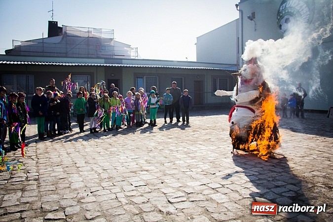 Zdjęcie w galerii na portalu naszraciborz.pl: W Studziennej jak co roku spalili bałwana wiadomości z regionu
