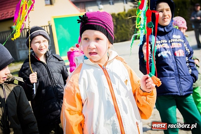 Zdjęcie w galerii na portalu naszraciborz.pl: W Studziennej jak co roku spalili bałwana wiadomości z regionu