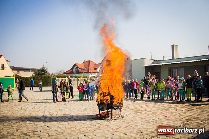 Zdjęcie w galerii na portalu naszraciborz.pl: W Studziennej jak co roku spalili bałwana wiadomości z regionu