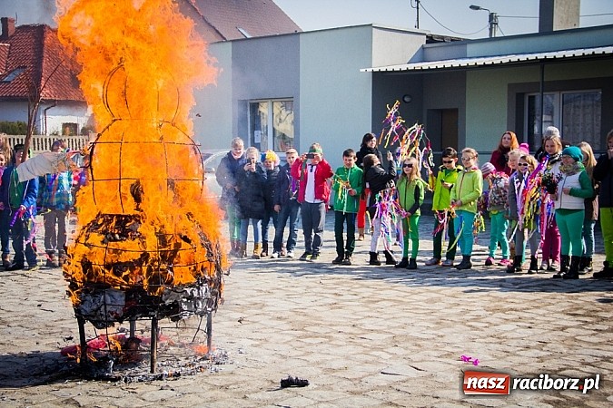 Zdjęcie w galerii na portalu naszraciborz.pl: W Studziennej jak co roku spalili bałwana wiadomości z regionu