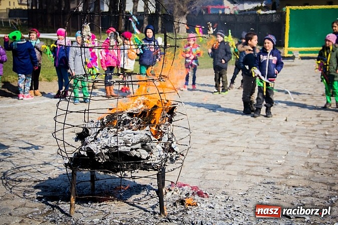 Zdjęcie w galerii na portalu naszraciborz.pl: W Studziennej jak co roku spalili bałwana wiadomości z regionu