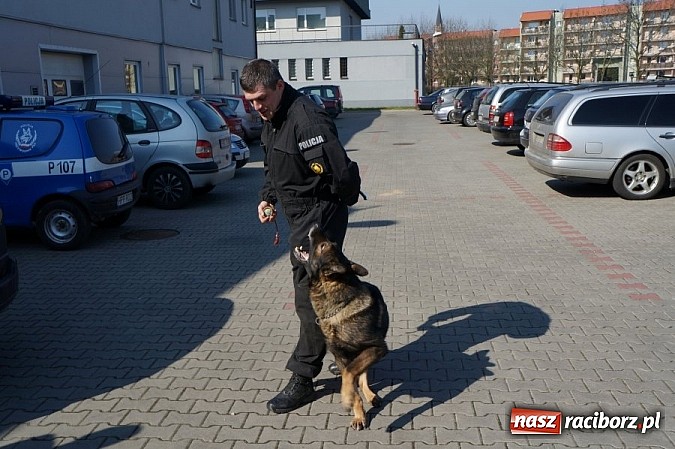 Zdjęcie w galerii na portalu naszraciborz.pl: Uczniowie z Bieńkowic z wizytą w KPP wiadomości z regionu