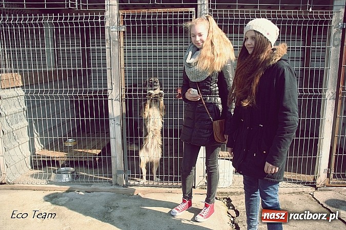 Zdjęcie w galerii na portalu naszraciborz.pl: Eco Team z darami w Schronisku dla Bezdomnych Zwierząt wiadomości z regionu