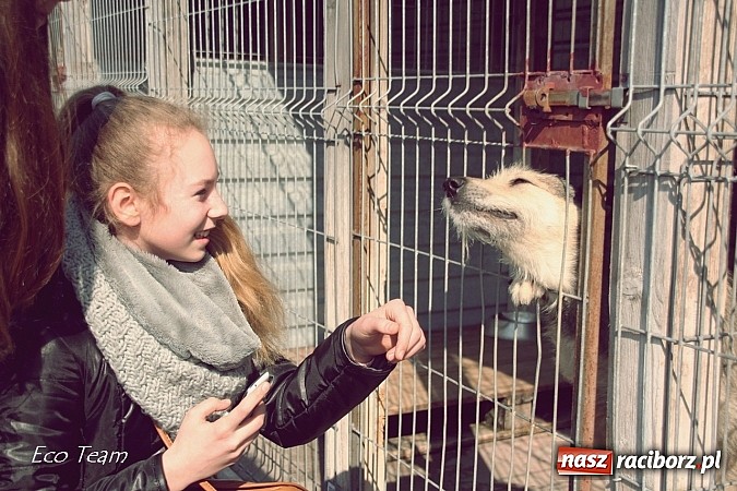 Zdjęcie w galerii na portalu naszraciborz.pl: Eco Team z darami w Schronisku dla Bezdomnych Zwierząt wiadomości z regionu