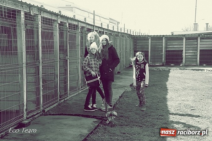 Zdjęcie w galerii na portalu naszraciborz.pl: Eco Team z darami w Schronisku dla Bezdomnych Zwierząt wiadomości z regionu