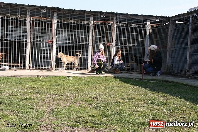 Zdjęcie w galerii na portalu naszraciborz.pl: Eco Team z darami w Schronisku dla Bezdomnych Zwierząt wiadomości z regionu
