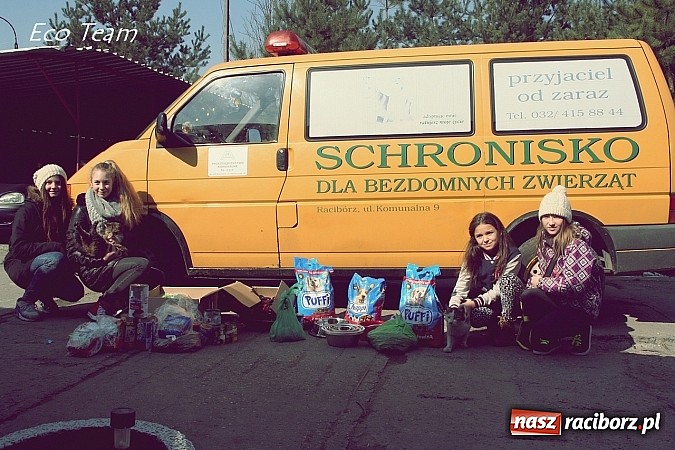 Zdjęcie w galerii na portalu naszraciborz.pl: Eco Team z darami w Schronisku dla Bezdomnych Zwierząt wiadomości z regionu