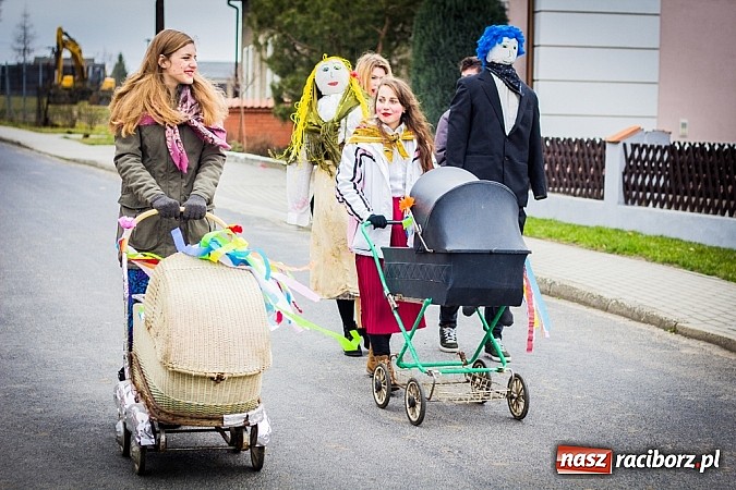 Zdjęcie w galerii na portalu naszraciborz.pl: Marzyna i Marzyniok na ulicach Samborowic wiadomości z regionu