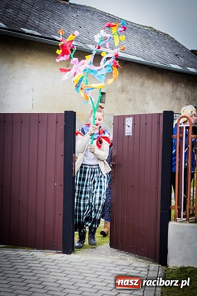 Zdjęcie w galerii na portalu naszraciborz.pl: Marzyna i Marzyniok na ulicach Samborowic wiadomości z regionu