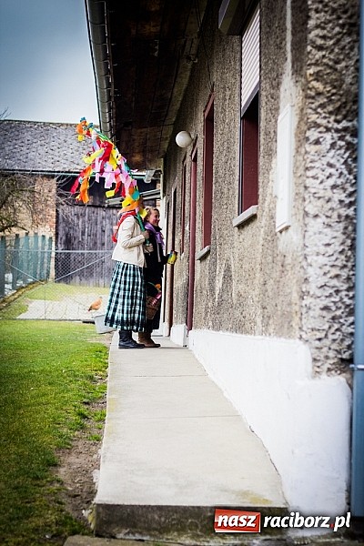 Zdjęcie w galerii na portalu naszraciborz.pl: Marzyna i Marzyniok na ulicach Samborowic wiadomości z regionu