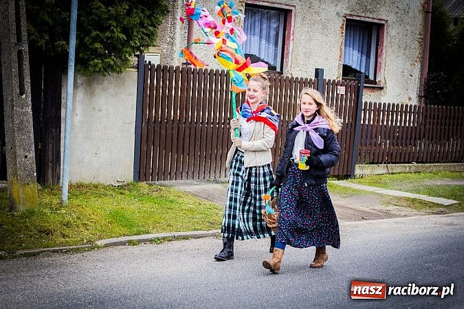 Zdjęcie w galerii na portalu naszraciborz.pl: Marzyna i Marzyniok na ulicach Samborowic wiadomości z regionu
