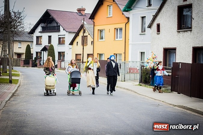 Zdjęcie w galerii na portalu naszraciborz.pl: Marzyna i Marzyniok na ulicach Samborowic wiadomości z regionu