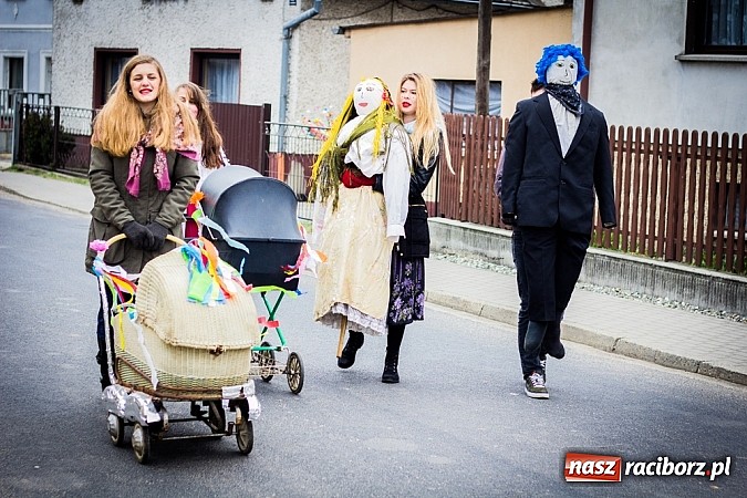 Zdjęcie w galerii na portalu naszraciborz.pl: Marzyna i Marzyniok na ulicach Samborowic wiadomości z regionu