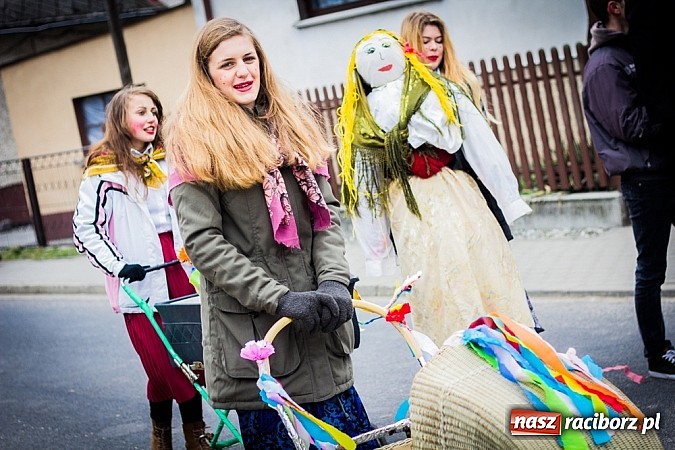 Zdjęcie w galerii na portalu naszraciborz.pl: Marzyna i Marzyniok na ulicach Samborowic wiadomości z regionu