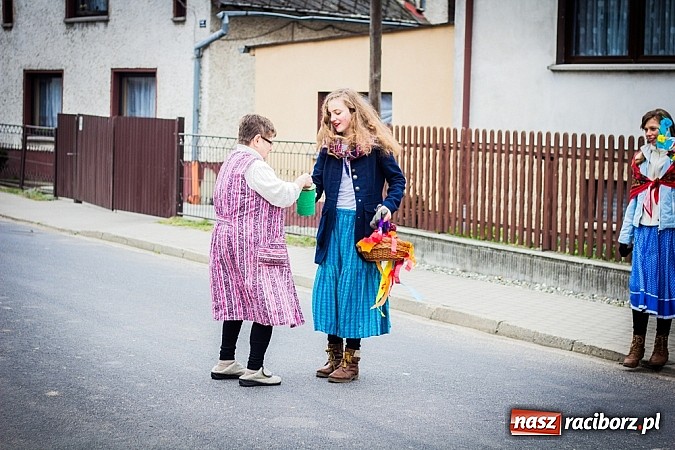 Zdjęcie w galerii na portalu naszraciborz.pl: Marzyna i Marzyniok na ulicach Samborowic wiadomości z regionu