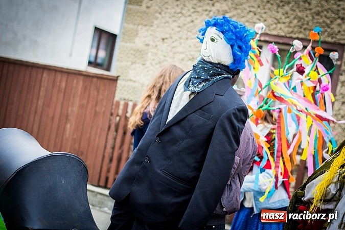 Zdjęcie w galerii na portalu naszraciborz.pl: Marzyna i Marzyniok na ulicach Samborowic wiadomości z regionu