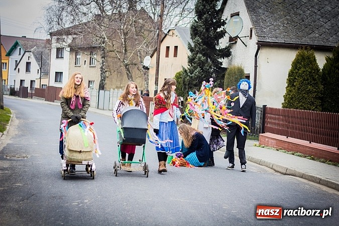 Zdjęcie w galerii na portalu naszraciborz.pl: Marzyna i Marzyniok na ulicach Samborowic wiadomości z regionu