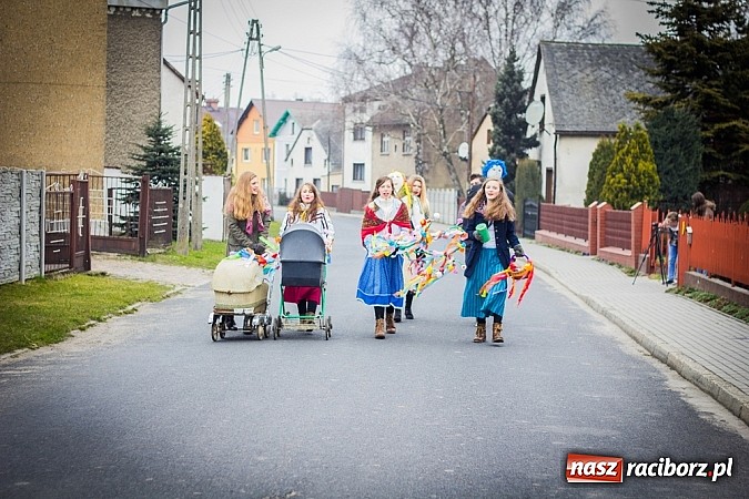 Zdjęcie w galerii na portalu naszraciborz.pl: Marzyna i Marzyniok na ulicach Samborowic wiadomości z regionu