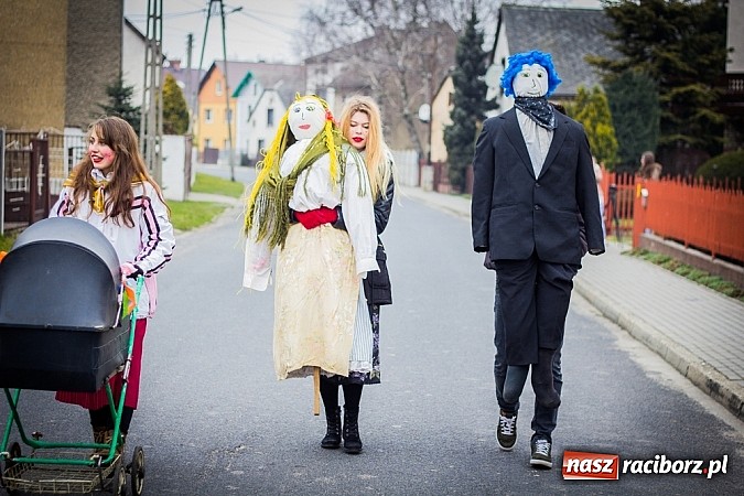 Zdjęcie w galerii na portalu naszraciborz.pl: Marzyna i Marzyniok na ulicach Samborowic wiadomości z regionu