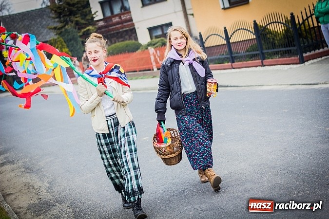 Zdjęcie w galerii na portalu naszraciborz.pl: Marzyna i Marzyniok na ulicach Samborowic wiadomości z regionu