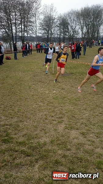 Zdjęcie w galerii na portalu naszraciborz.pl: Biegi przełajowe. Złota Ania wiadomości z regionu