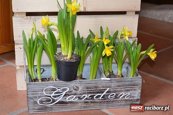 Zdjęcie w galerii na portalu naszraciborz.pl: Już jutro w murach Starego Opactwa II część Wielkanocnego Jarmarku!  wiadomości z regionu