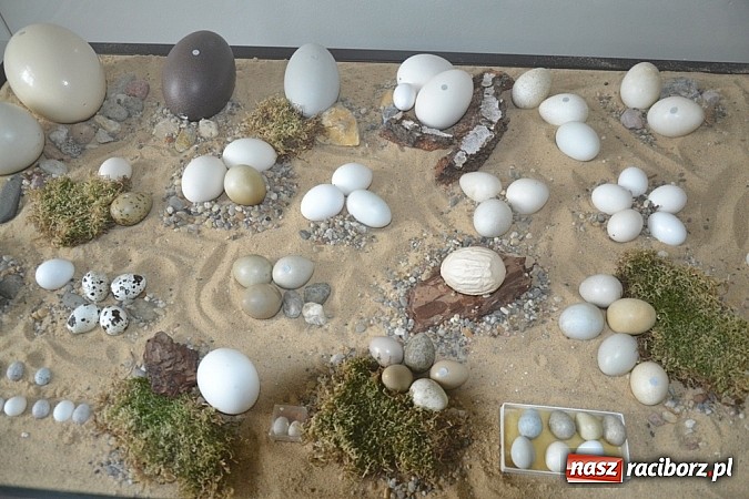 Zdjęcie w galerii na portalu naszraciborz.pl: Już jutro w murach Starego Opactwa II część Wielkanocnego Jarmarku!  wiadomości z regionu