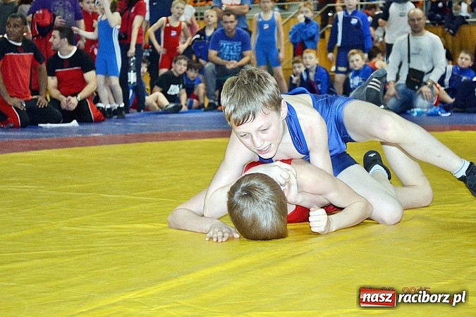 Zdjęcie w galerii na portalu naszraciborz.pl: Udany start młodych zapaśników MKZ Unia w Czechach wiadomości z regionu