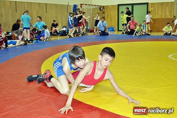 Zdjęcie w galerii na portalu naszraciborz.pl: Udany start młodych zapaśników MKZ Unia w Czechach wiadomości z regionu