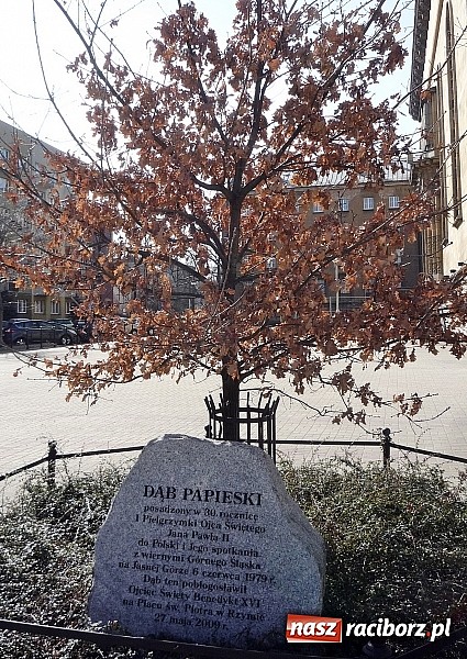 Zdjęcie w galerii na portalu naszraciborz.pl: Olimpiada Promocji Zdrowego Stylu Życia – 6. miejsce ucznia tworkowskiej szkoły  wiadomości z regionu