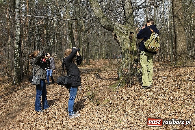 Zdjęcie w galerii na portalu naszraciborz.pl: Dzieci należy uczyć nie z książek, lecz dęb&oacute;w, nieba i buk&oacute;w wiadomości z regionu
