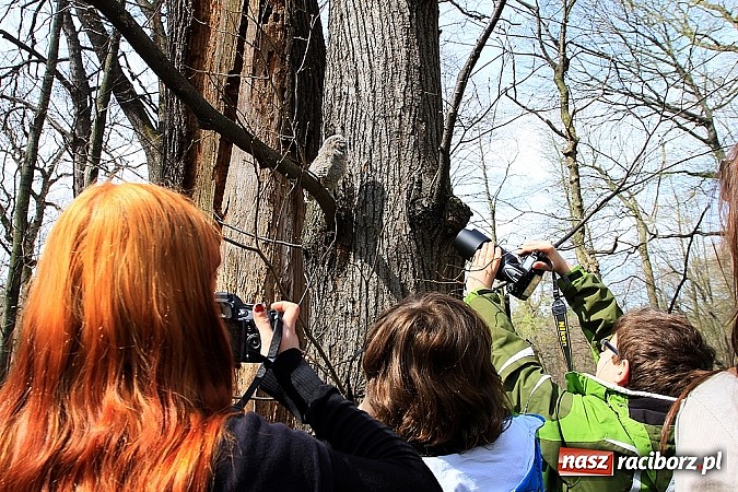 Zdjęcie w galerii na portalu naszraciborz.pl: Dzieci należy uczyć nie z książek, lecz dęb&oacute;w, nieba i buk&oacute;w wiadomości z regionu