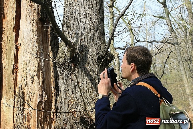 Zdjęcie w galerii na portalu naszraciborz.pl: Dzieci należy uczyć nie z książek, lecz dęb&oacute;w, nieba i buk&oacute;w wiadomości z regionu