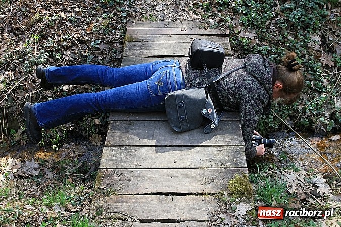 Zdjęcie w galerii na portalu naszraciborz.pl: Dzieci należy uczyć nie z książek, lecz dęb&oacute;w, nieba i buk&oacute;w wiadomości z regionu