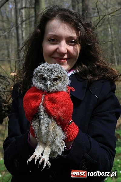 Zdjęcie w galerii na portalu naszraciborz.pl: Dzieci należy uczyć nie z książek, lecz dęb&oacute;w, nieba i buk&oacute;w wiadomości z regionu