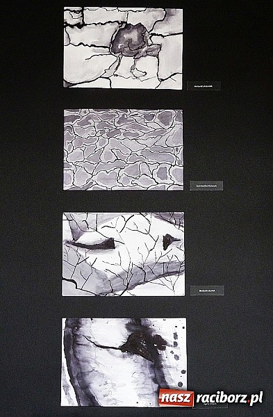 Zdjęcie w galerii na portalu naszraciborz.pl: Uczniowie G1 wystawiają prace w Bibliotece Pedagogicznej  wiadomości z regionu