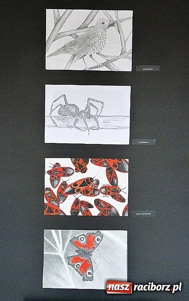 Zdjęcie w galerii na portalu naszraciborz.pl: Uczniowie G1 wystawiają prace w Bibliotece Pedagogicznej  wiadomości z regionu