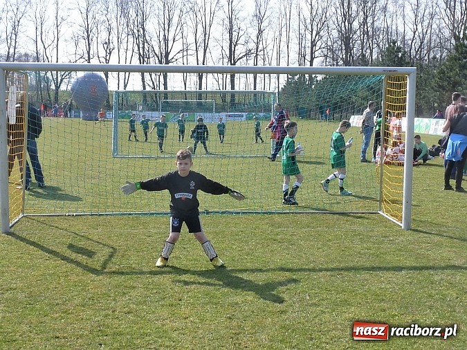 Zdjęcie w galerii na portalu naszraciborz.pl: Pawłowianki z brązem na Mistrzostwach Śląska wiadomości z regionu